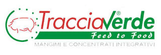 Traccia Verde